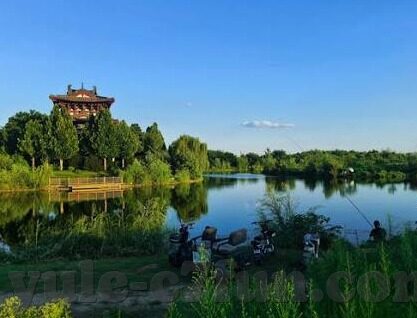 足球篮球比分网-从数据洪流到决策利器，深度解析足球篮球比分网的进化密码